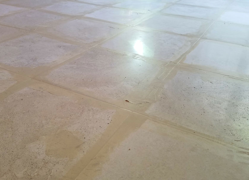 Stone Refinishing System AKA Seamless Floors