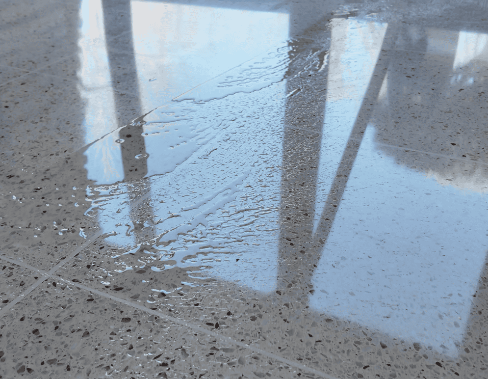 Bring Your Wausau Terrazzo Tiles Back to Life