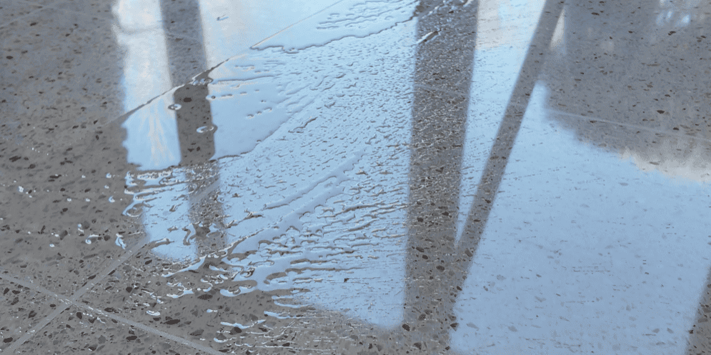 Bring Your Wausau Terrazzo Tiles Back to Life